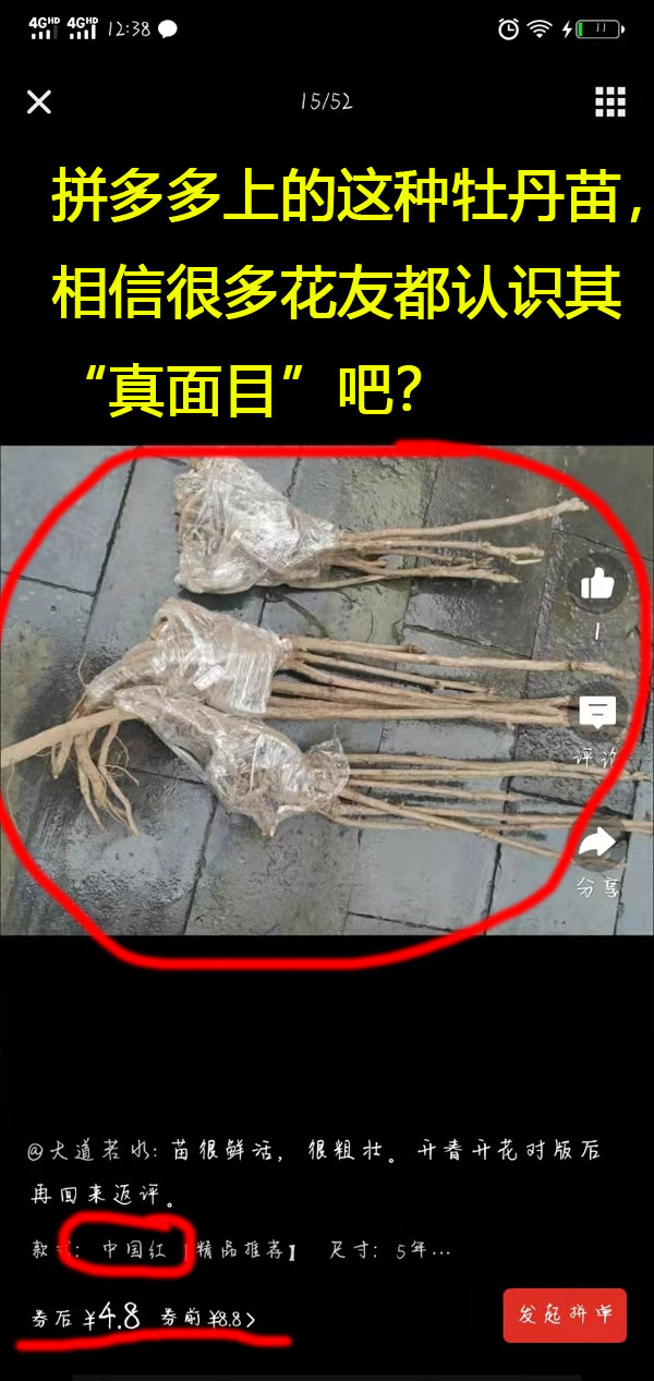 拼多多上买的牡丹有真的吗？拼多多牡丹花哪家是真的？.jpg