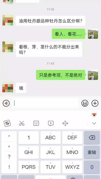 怎么分辨真假牡丹？先看人、再看花！